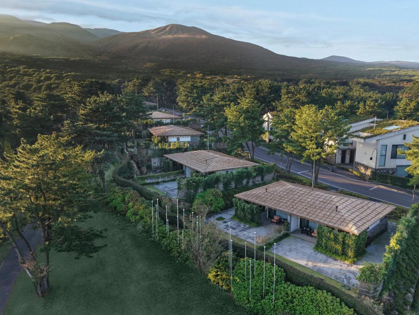 Hotel Amber Pure Hill & 5*