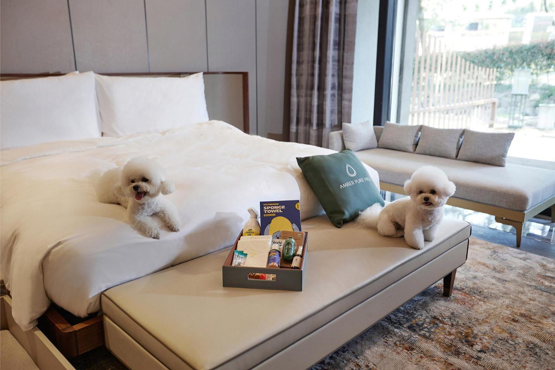 Hotel Amber Pure Hill & 5*