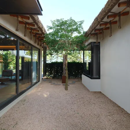 Amber Pure Hill Hotels & Resorts Jeju Exterior photo