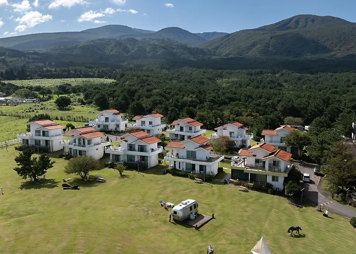 Amber Pure Hill Hotels & Resorts Jeju