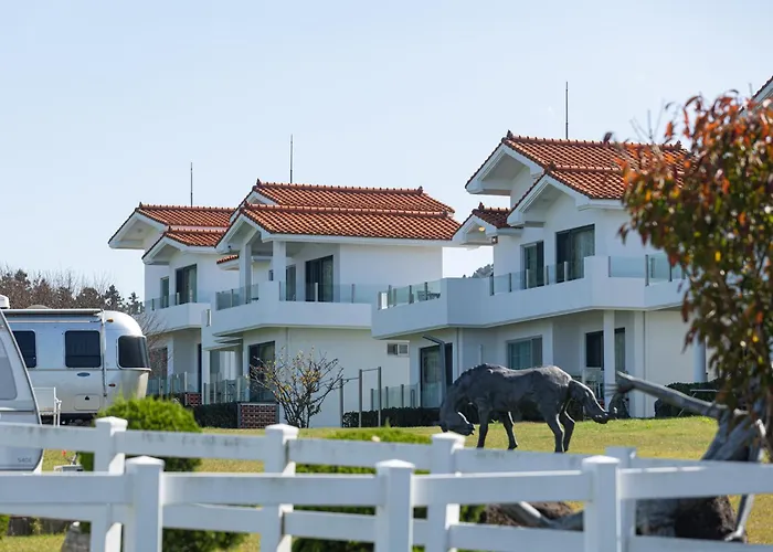 Amber Pure Hill Hotels & Resorts Jeju