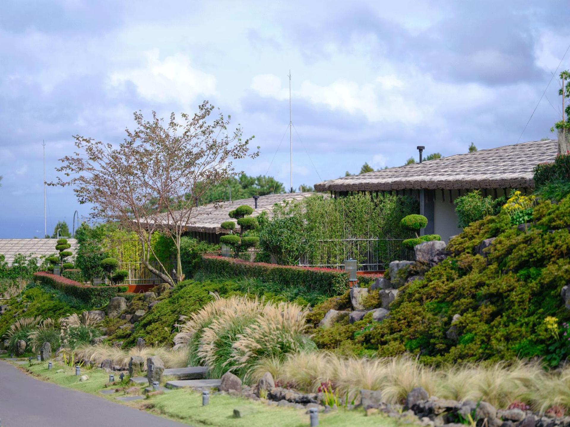 Hotel Amber Pure Hill & 5*
