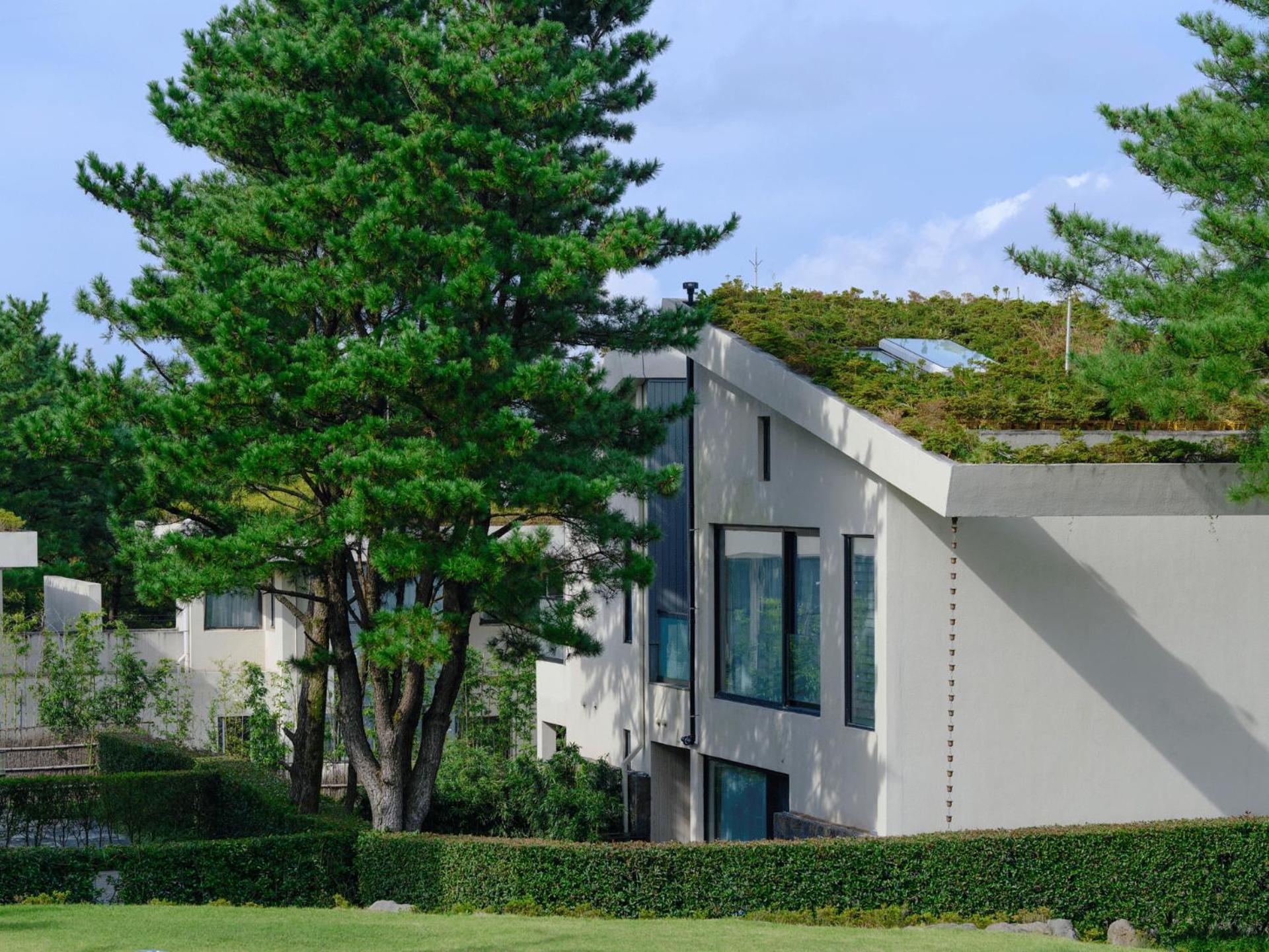 Hotel Amber Pure Hill & 5*