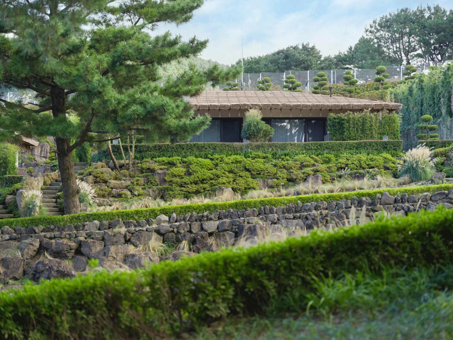 Hotel Amber Pure Hill & 5*